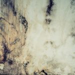 Mold In Vents in Topeka, Kansas