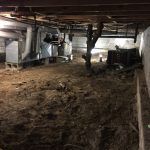 Crawlspace Mold Removal