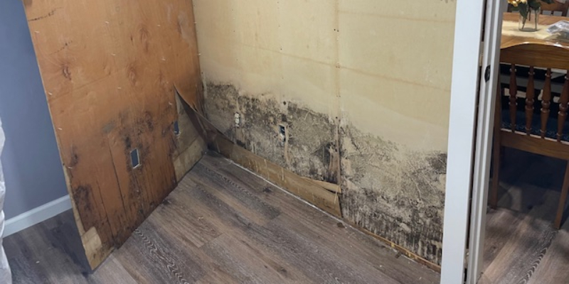 Mold Removal in Topeka, Kansas