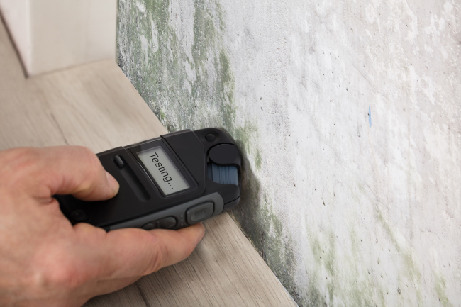 What to Expect from Mold Testing Services